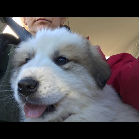 Meet your Posher, Beth - Picture 1 of 1